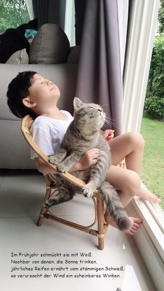eine kleine Person und ihre Katze